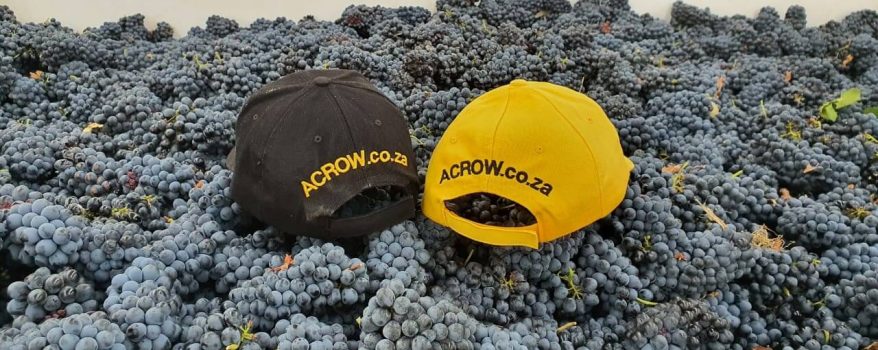 Acrow February Newsletter